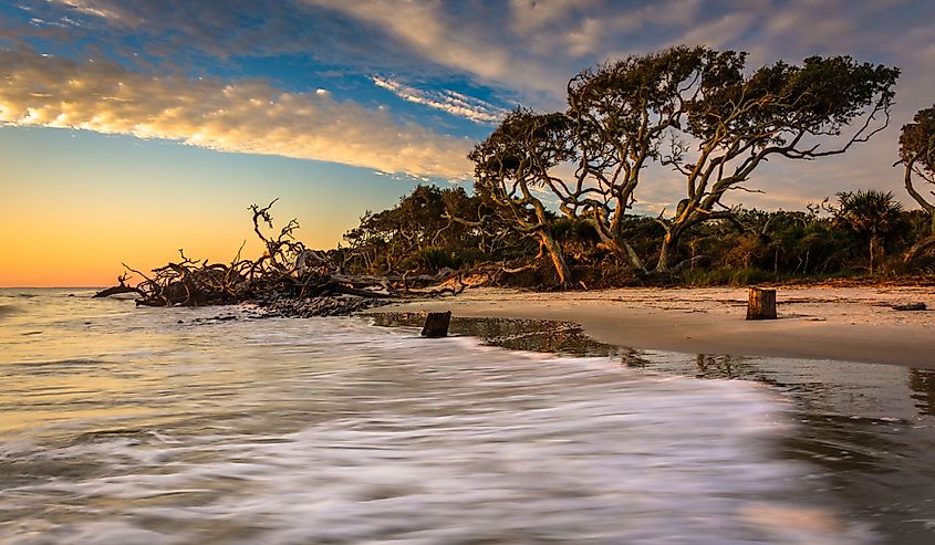 Morning light and waves at Driftwood Beach, on the Atlantic Ocean at Jekyll Island, Georgia