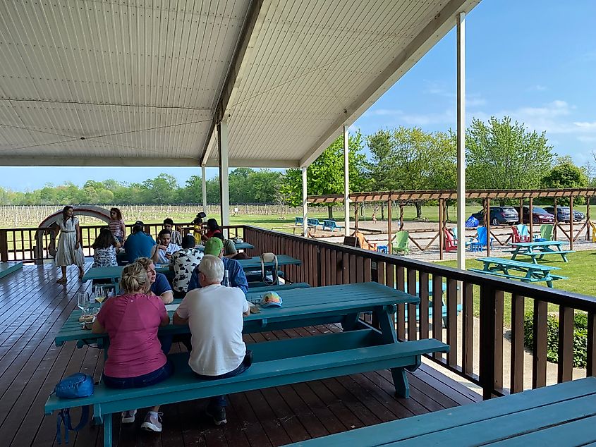 Blue picnic tables filled with patrons at an outdoor winery.