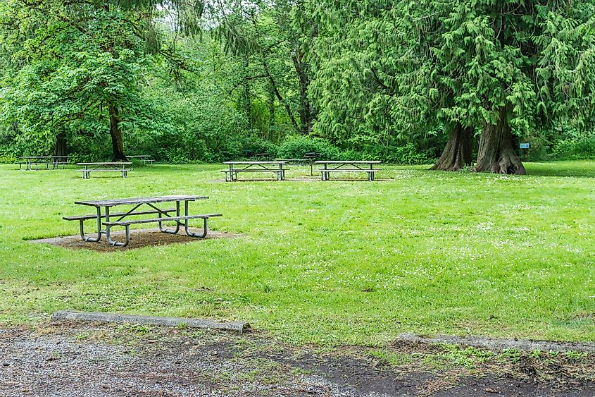 Picnic table at Flaming Geyser State Park in Washington State