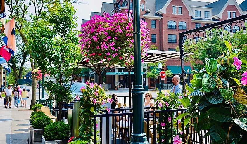 Downtown streets of Birmingham, Michigan in the summer with pink flowers blooming