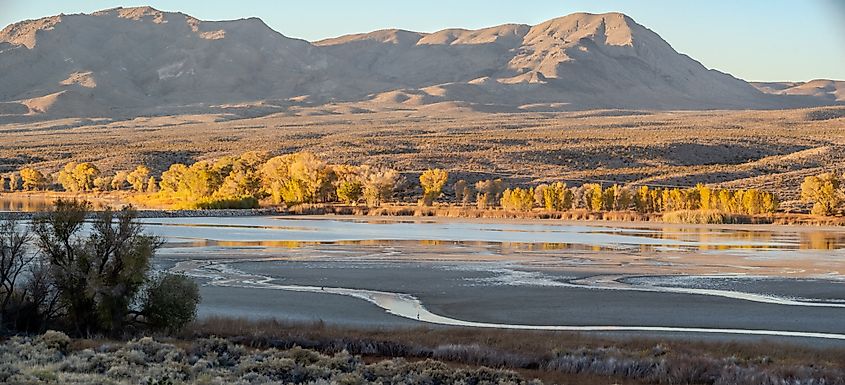 Pahranagat National Wildlife Refuge in Lincoln County, Nevada. Credit: digidreamgrafix / Shutterstock