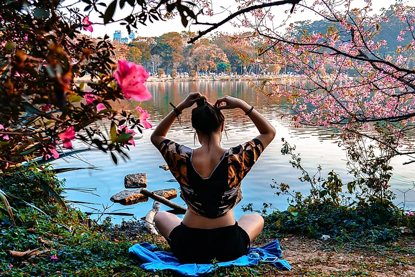 Ibirapuera