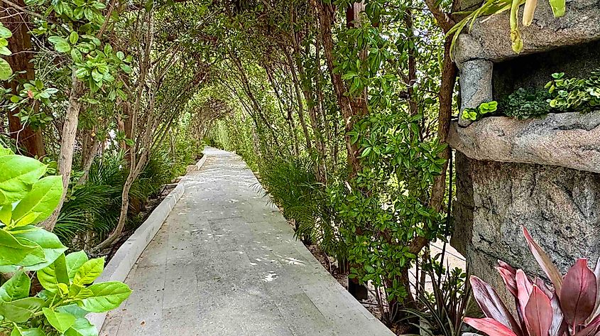hotels-like-radisson-blu-aruba-are-doing-their-bit-for-sustainability-photo-by-bryan-dearsley