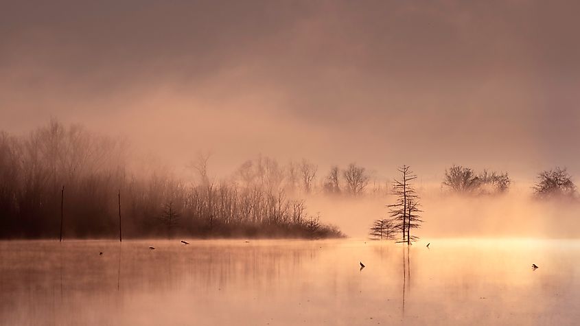 Early morning fog in the Red River National Wildlife Refuge in Louisiana.