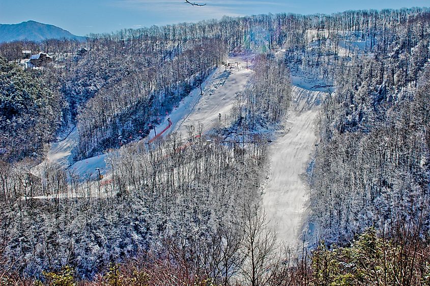 Ober Mountain Trails