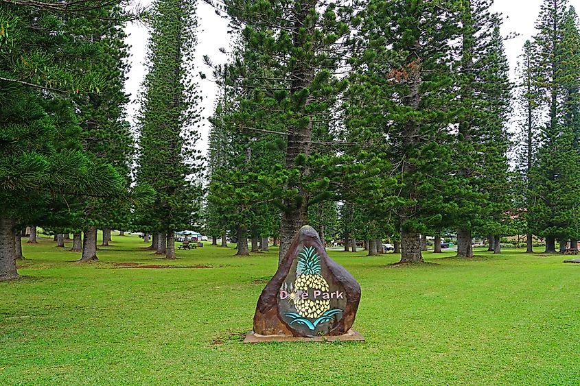 Dole Park on the site of the former Dole Plantation in the center of Lanai City, HI.
