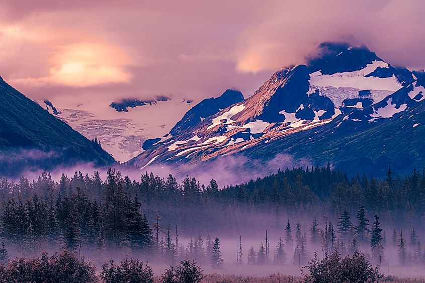 Mist rises from the forest floor in Chugach National Forest as the sun illuminates the snow-capped peaks.