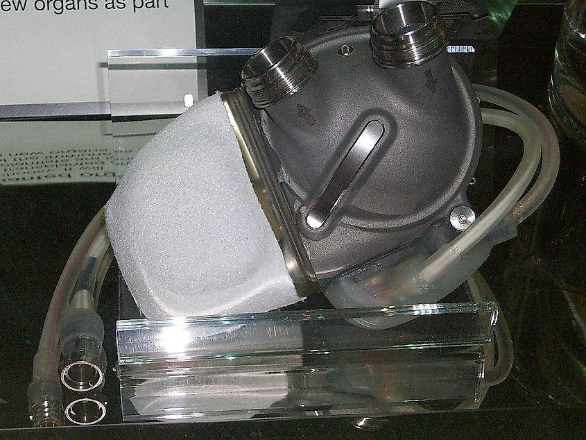 An artificial heart on display at the London Science Museum.