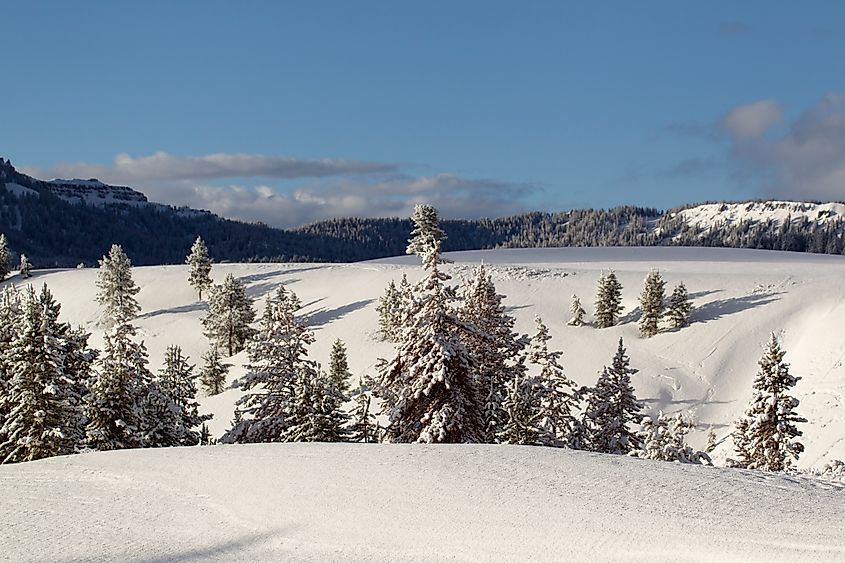 Spring scene at Togwotee Pass in Wyoming