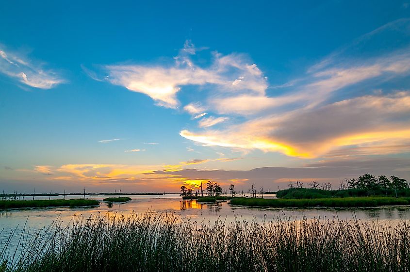 A colorful sunset of yellow, orange and blue in the Louisiana swamps along the Mississippi River
