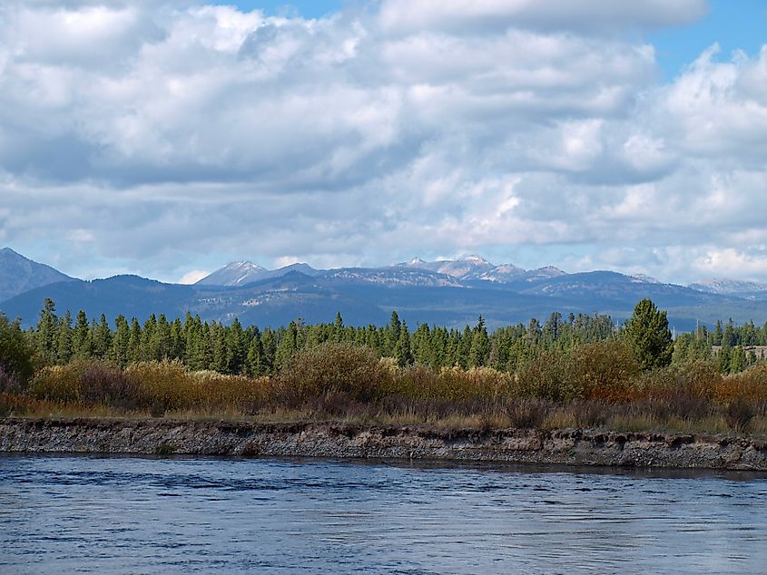 The Madison River flowing through Montana