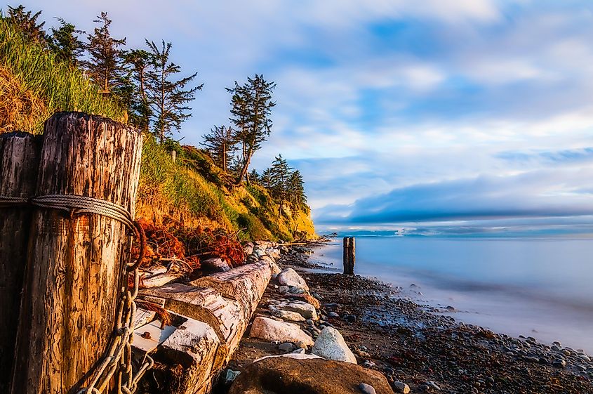 beach scene on Whidbey Island, Washington