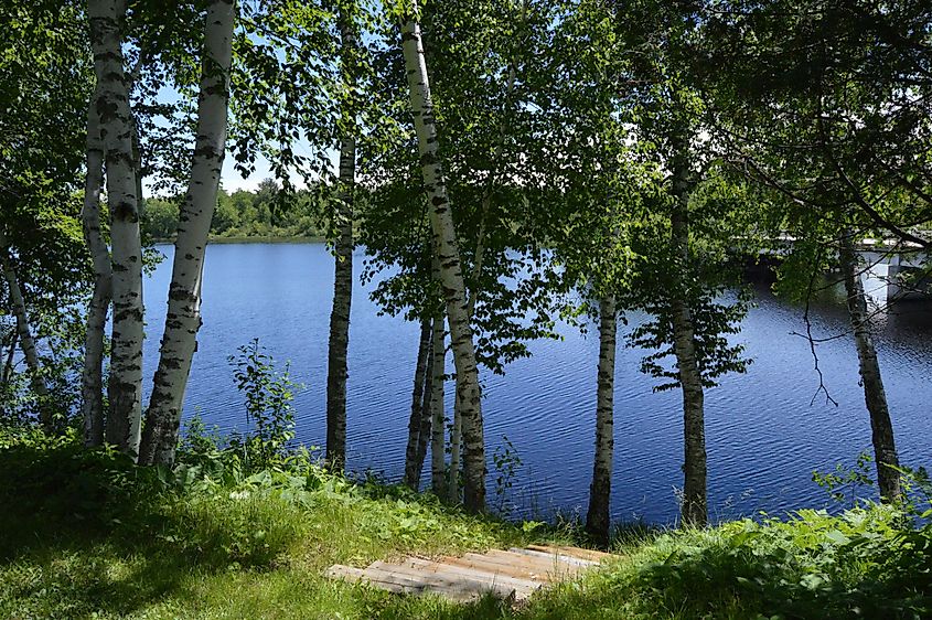 Beautiful nature near Bruce, Wisconsin.