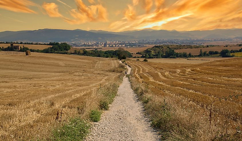 The Camino de Santiago during sunrise in Navarra, Spain