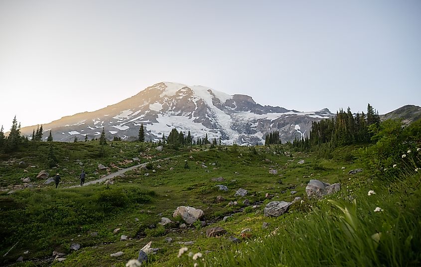 Mount Rainier at sunset.