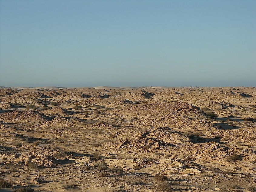 The Western Sahara landscape.