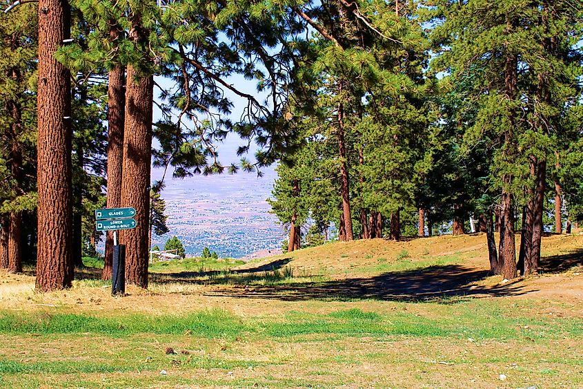 Beautiful landscape in Wrightwood, California. 