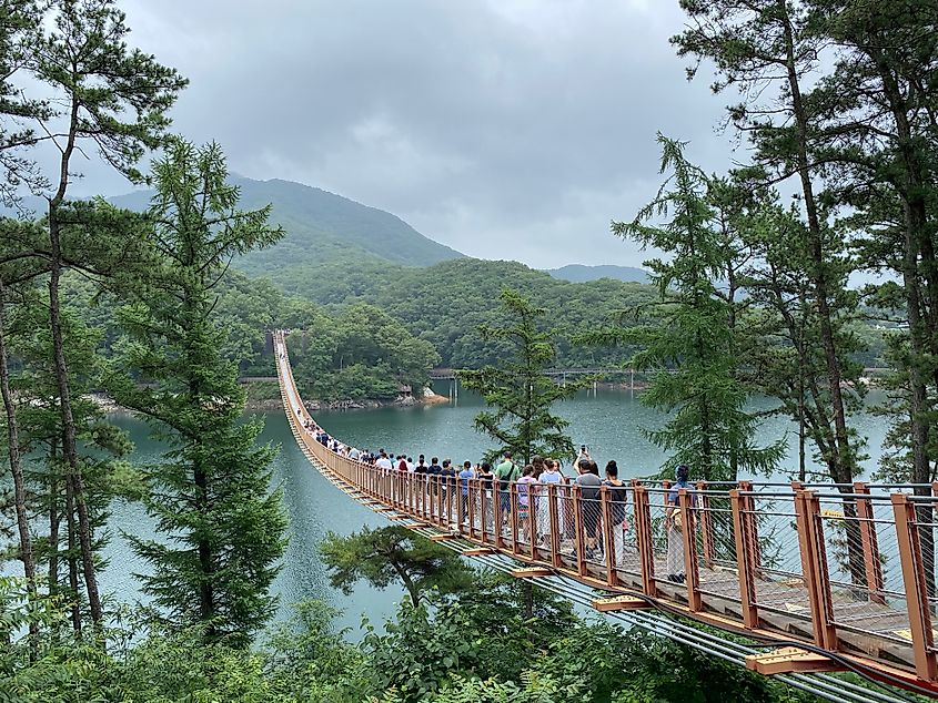 A group of tourists cross a suspension bridge over a forestlake.