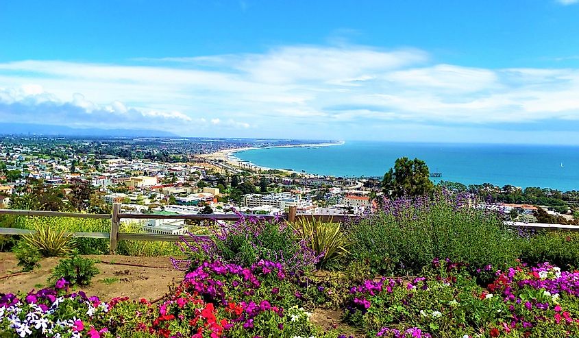 Aerial view of Ventura, California in spring with flowers in bloom