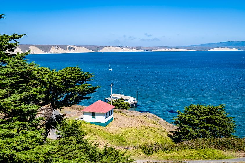 The beautiful coastline of Inverness, California.