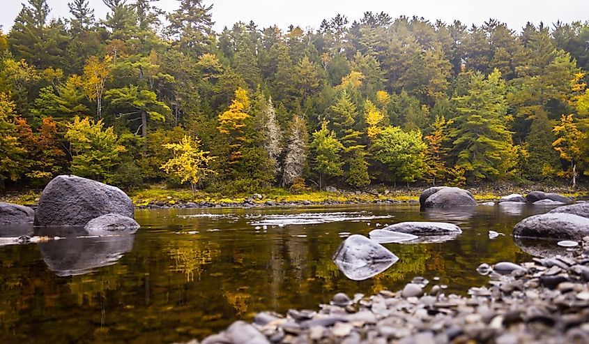 Quite forest Mattanawcook Stream in rural Maine.  