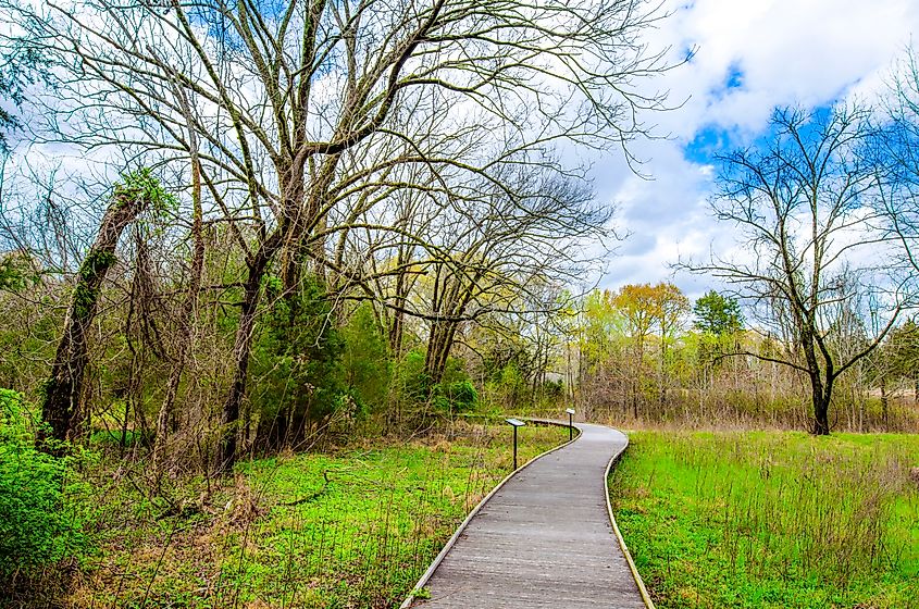 Holly Springs National Forest.
