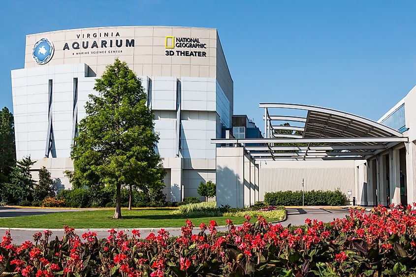 Virginia Aquarium and Marine Science Center in Virginia Beach, Virginia.