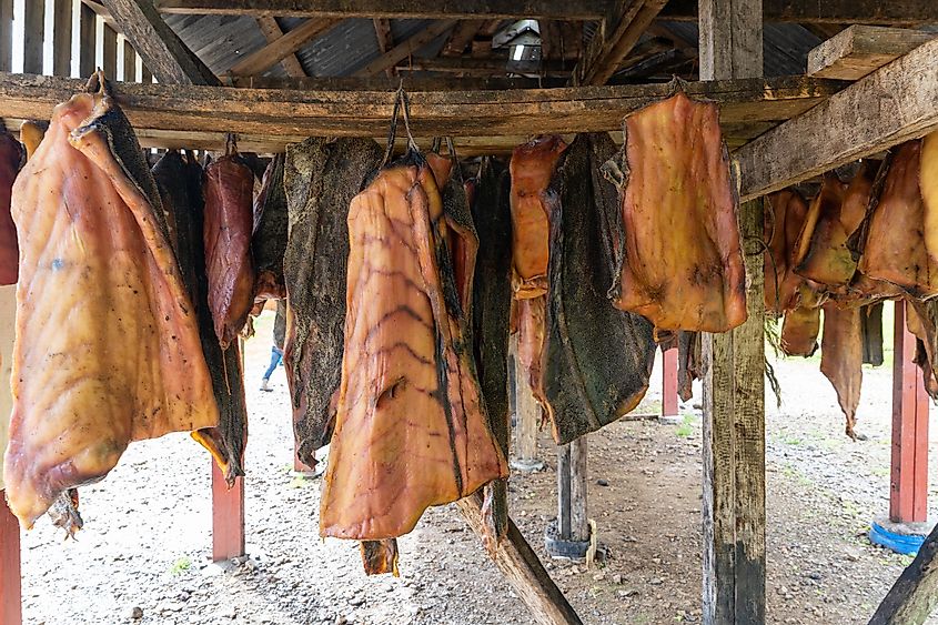 Fermented shark (Hakarl) hanging to dry in Iceland