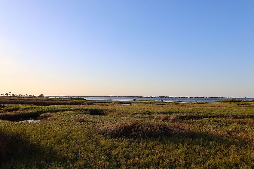 Florida Bay Marsh land at Bald Point, Florida Gulf