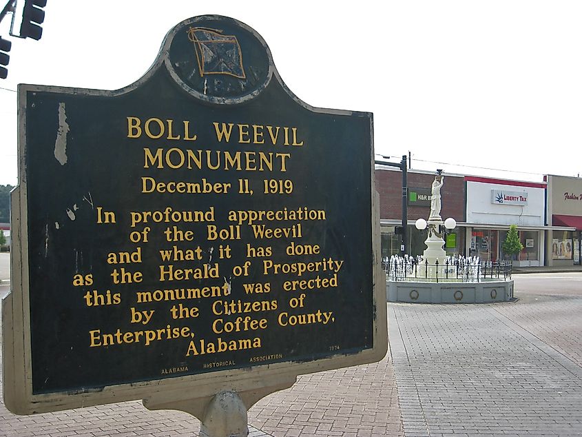 Boll Weevil Monument in Enterprise, Alabama. Image credit: TampAGS, for AGS Media, via Wikimedia Commons.