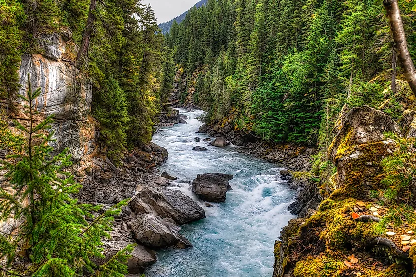 Fraser River in Mount Robson Provincial Park