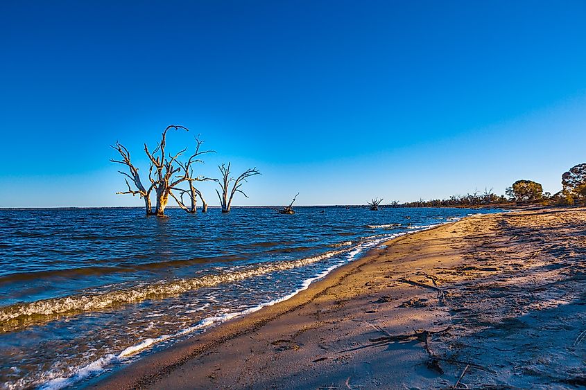 Lake Bonney in Barmera, South Australia.