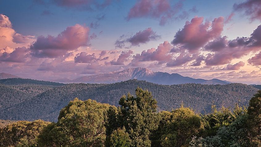 Mount Buller Mansfield Victoria Australia pink clouds landscape mountain scenery amazing pink clouds beautiful skies clear view of mountain Mt Buller as seen from Tolmie. Henry During via Shutterstock