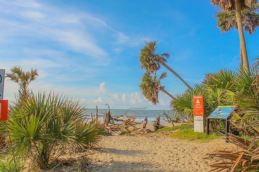 Botany Bay Beach on Edisto Island, South Carolina.