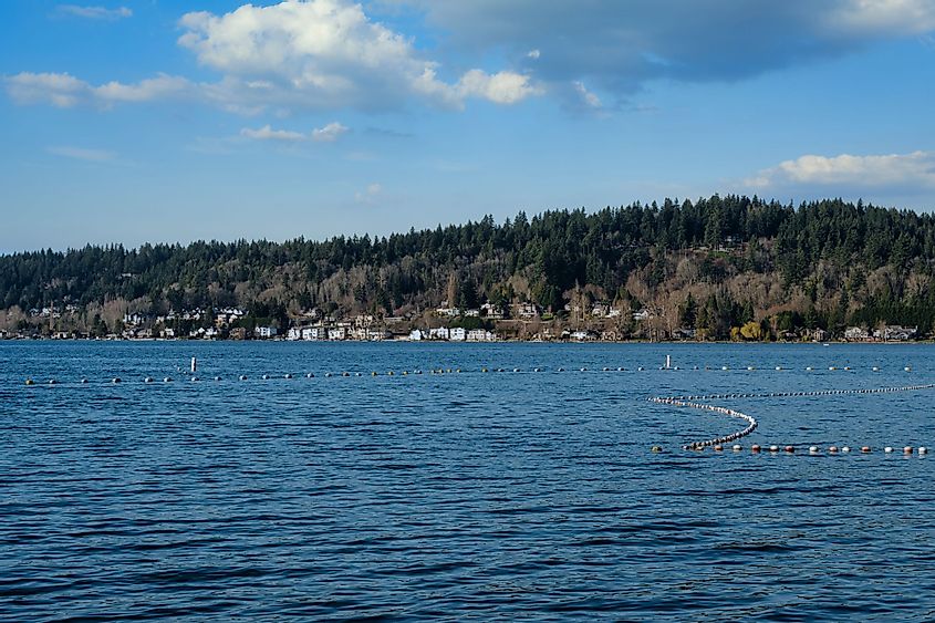 Lake Sammamish shoreline from the swimming area  in Issaquah, Washington