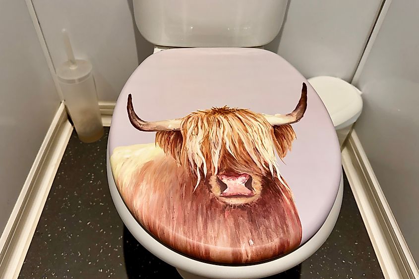 I wasnt joking about the toilet seat Image credit Bryan Dearsley