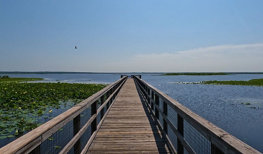 Views around Paynes Prairie Preserve State Park in Gainesville