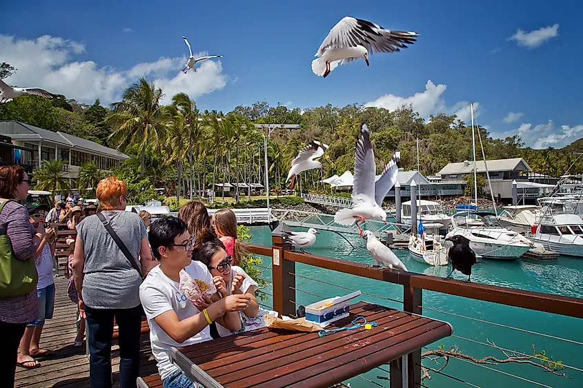 Hamilton Island