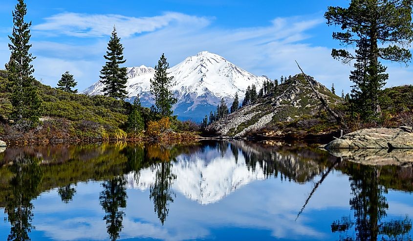 Mount Shasta