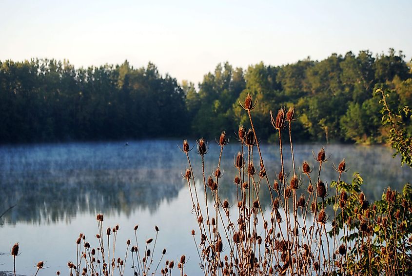 Beaver Lake in Galloway, Ohio.