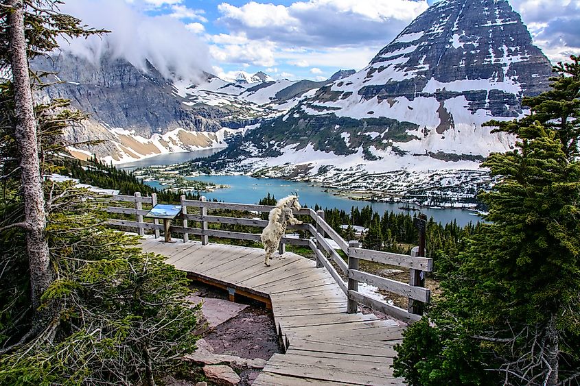 Glacier National Park