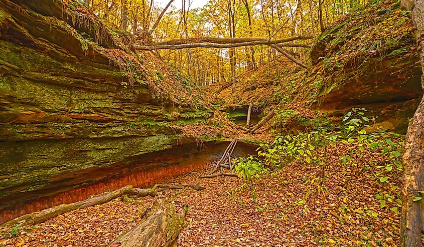 Hidden Canyon in the Fall Forest in Wildcat Den State Park in Iowa