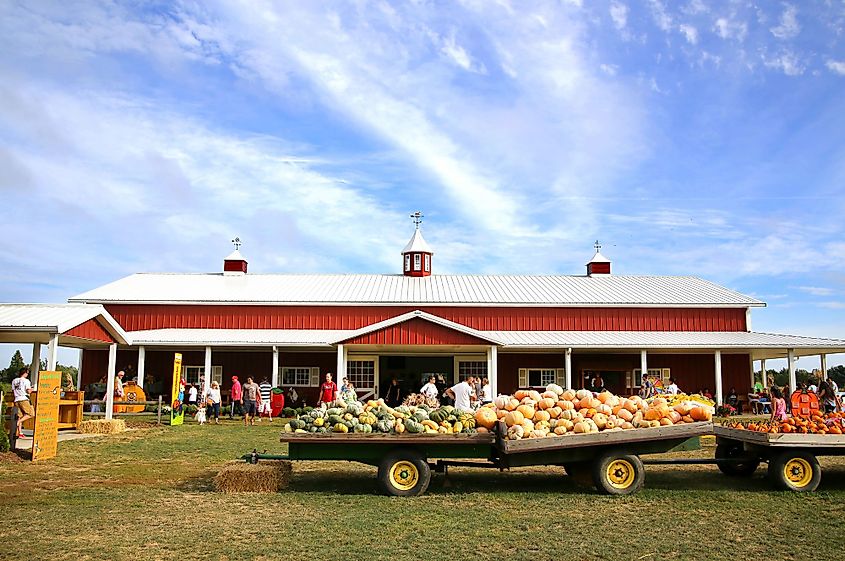 People enjoying at Hanks Farmstand in Southampton, New York