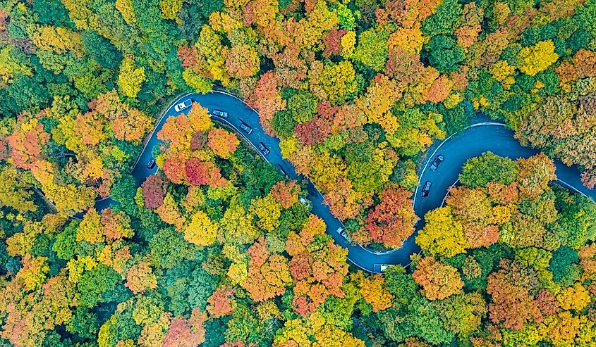 Panoramic view of peak fall foliage in Smugglers Notch, Vermont.