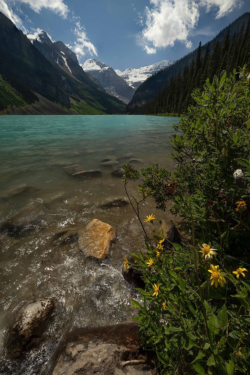 A view across to the Victoria Glacier from Lake Louise's northern shore. Photo Credit: Brendan Cane.