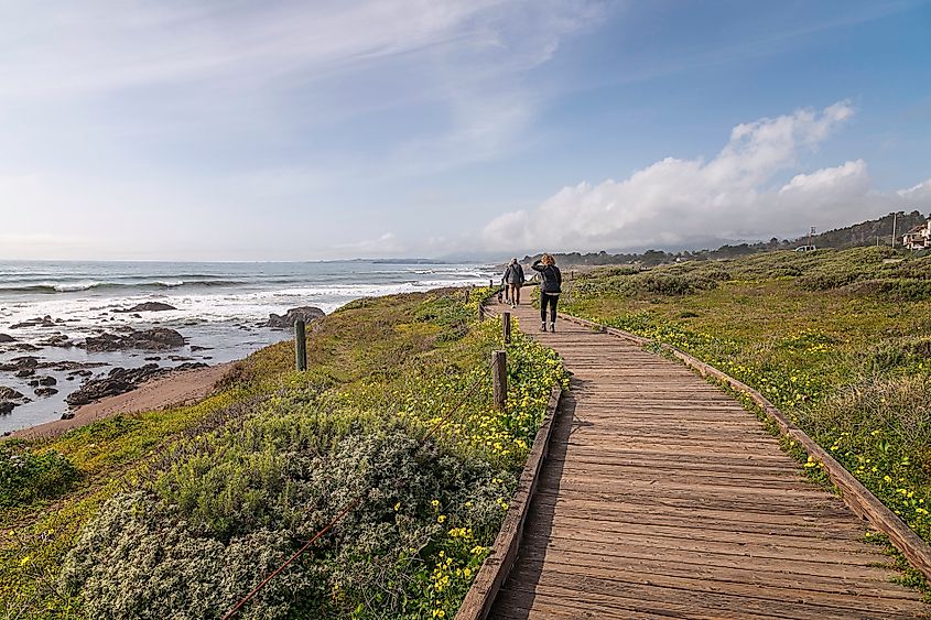 Visitors walk along the beautiful Moonstone Beach Boardwalk in Cambria, California.