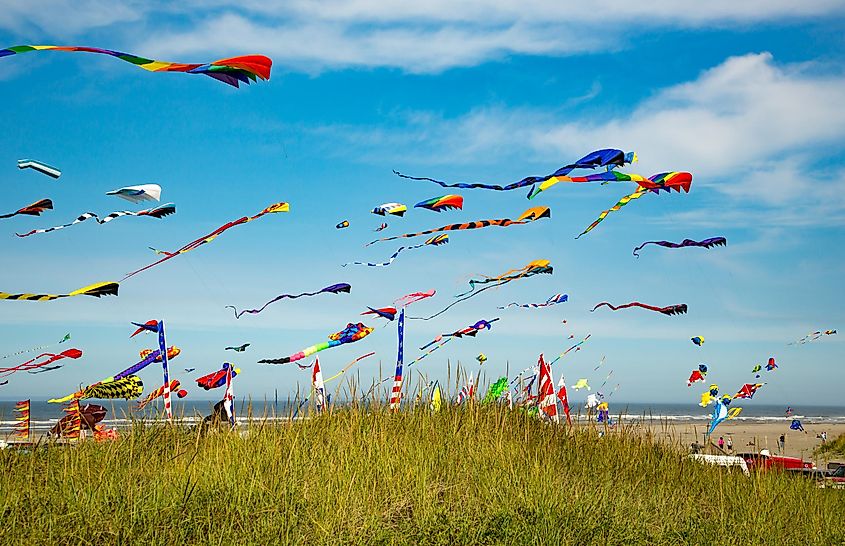 Kite Festival at Long Beach, California.