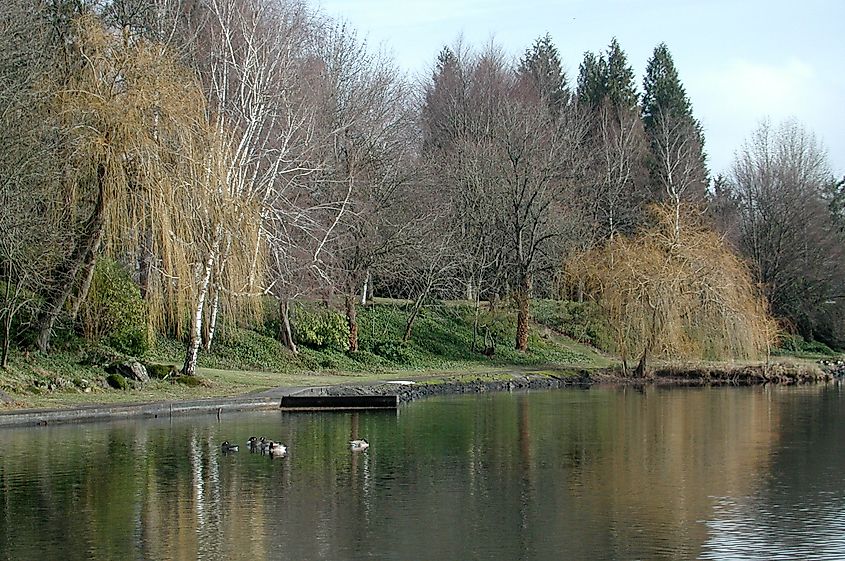 North shoreline of Blue Lake in Fairview, Oregon