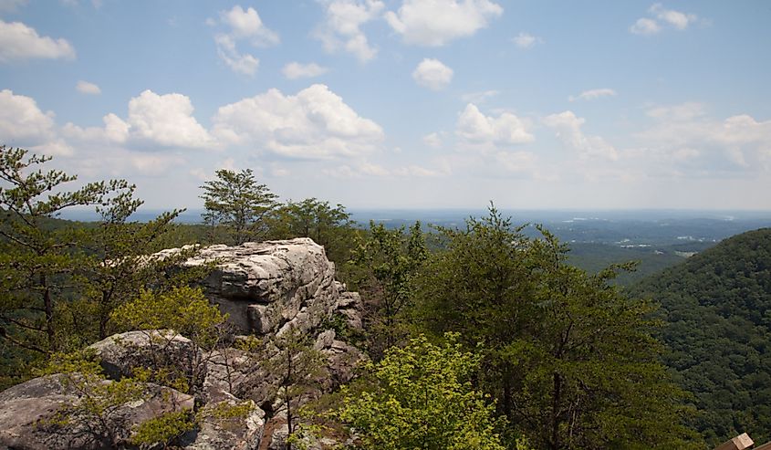 Laurel-Snow State Natural Area at Buzzard Point Overlook