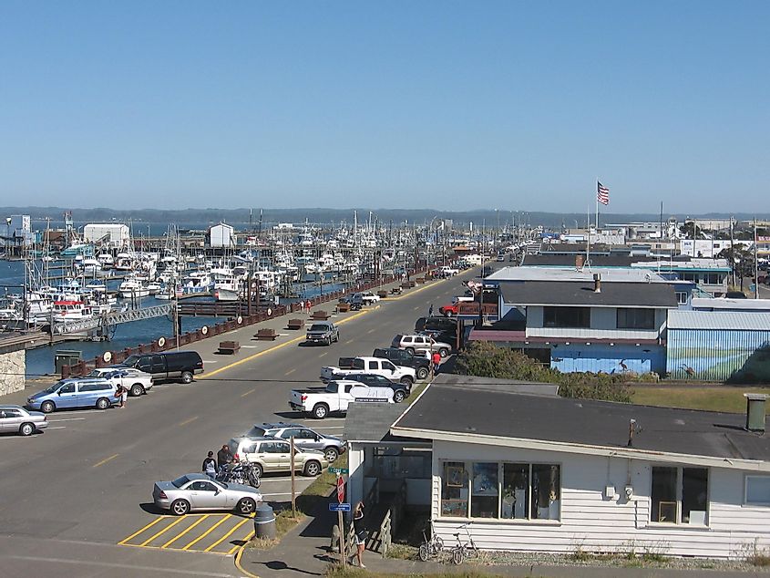 The marina district of Westport, looking east from the Westport Viewing Tower, By Drums600 (talk) - Own work (Original text: I created this work entirely by myself.), Public Domain, https://commons.wikimedia.org/w/index.php?curid=4942291